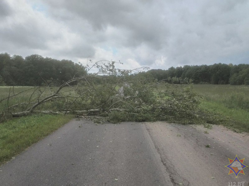 МЧС показало последствия непогоды