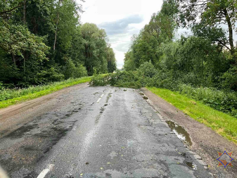 МЧС показало последствия непогоды