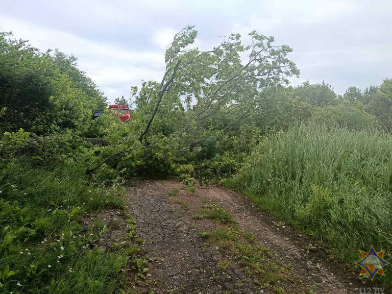 МЧС показало последствия непогоды