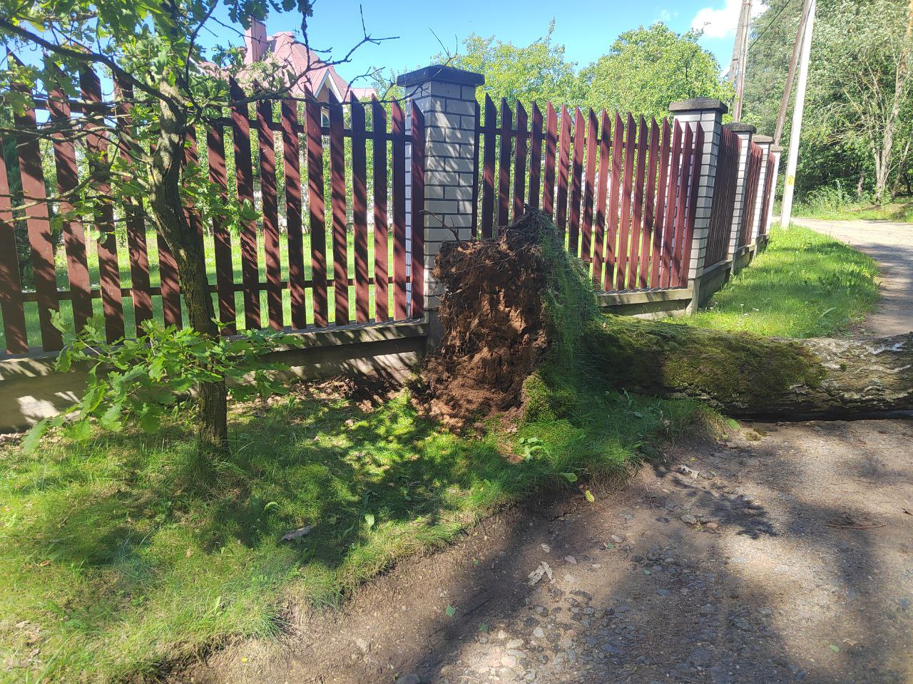 МЧС показало последствия непогоды