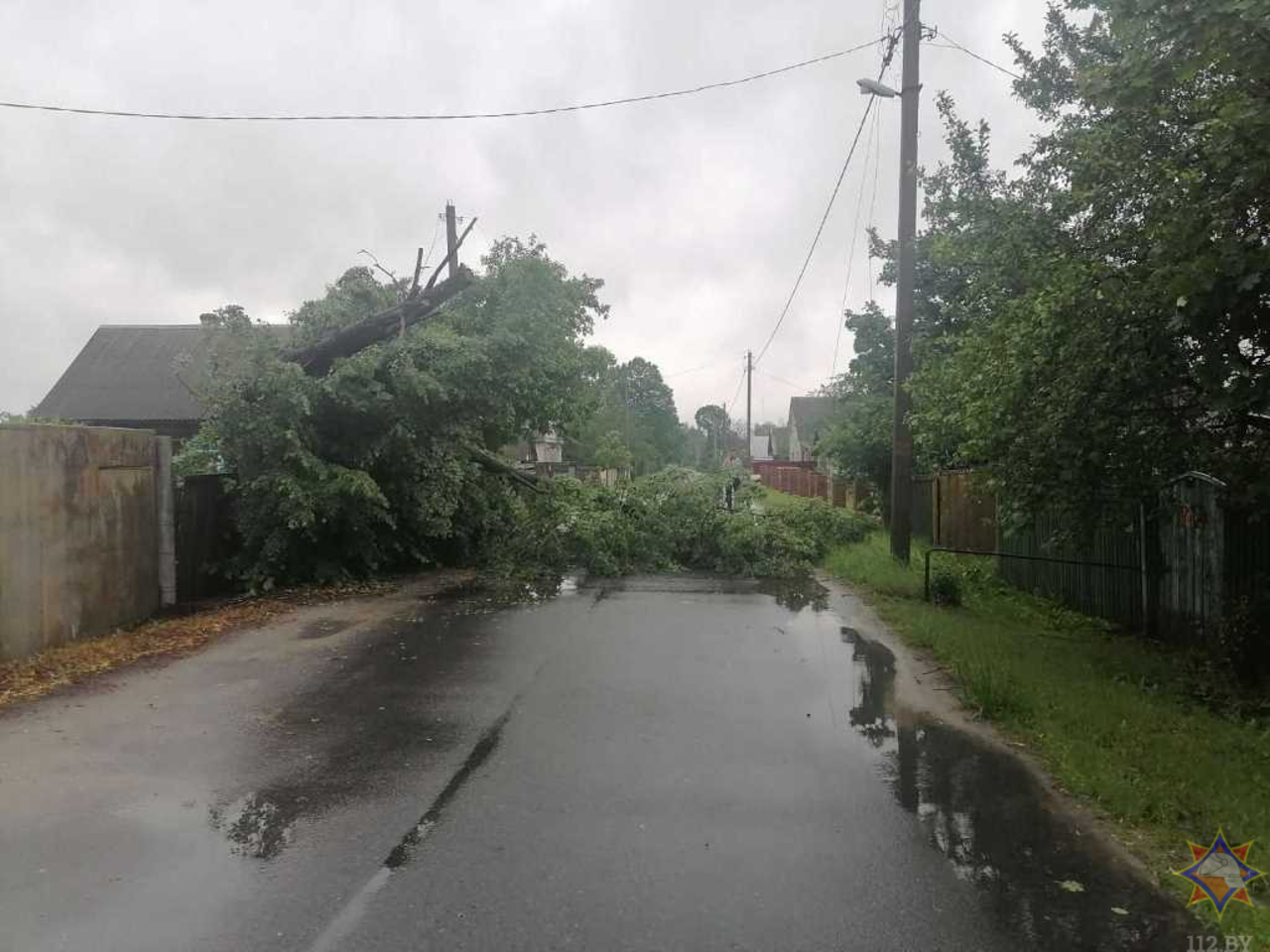 20 упавших деревьев и три поврежденных здания – по Гомельщине прошел грозовой фронт