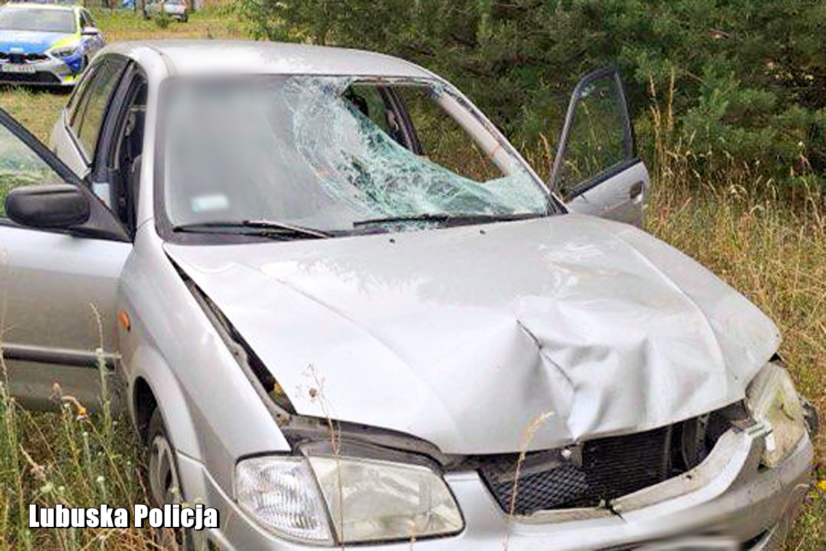 Пьяный беларус насмерть сбил женщину в Польше и попытался скрыться