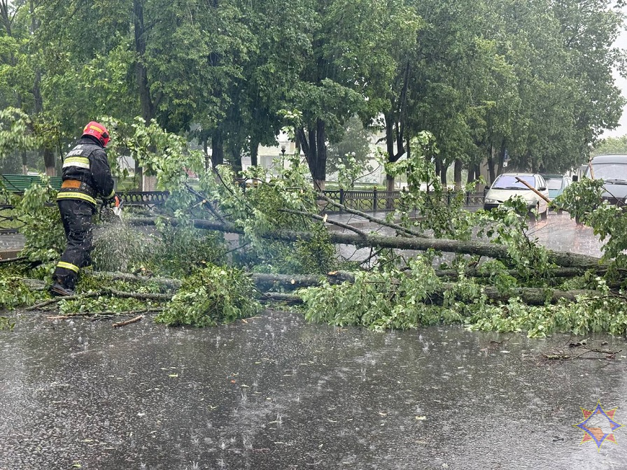 МЧС показало последствия ливней и ветра на Гомельщине