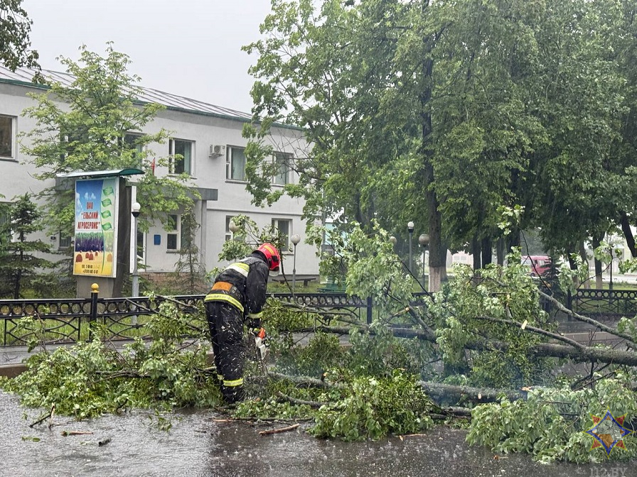 МЧС показало последствия ливней и ветра на Гомельщине