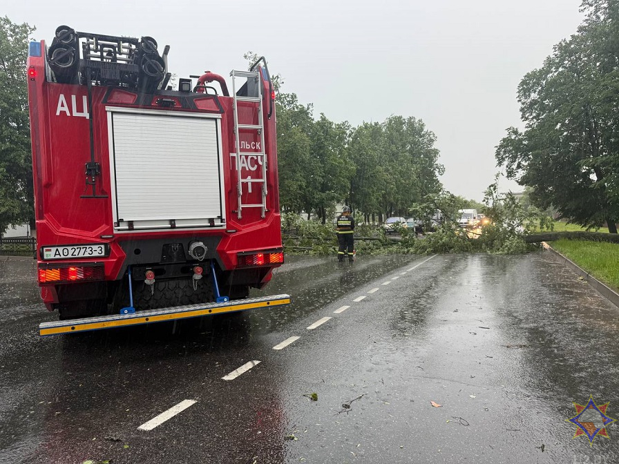МЧС показало последствия ливней и ветра на Гомельщине
