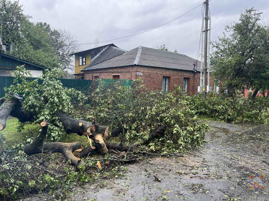 МЧС показало последствия ливней и ветра на Гомельщине