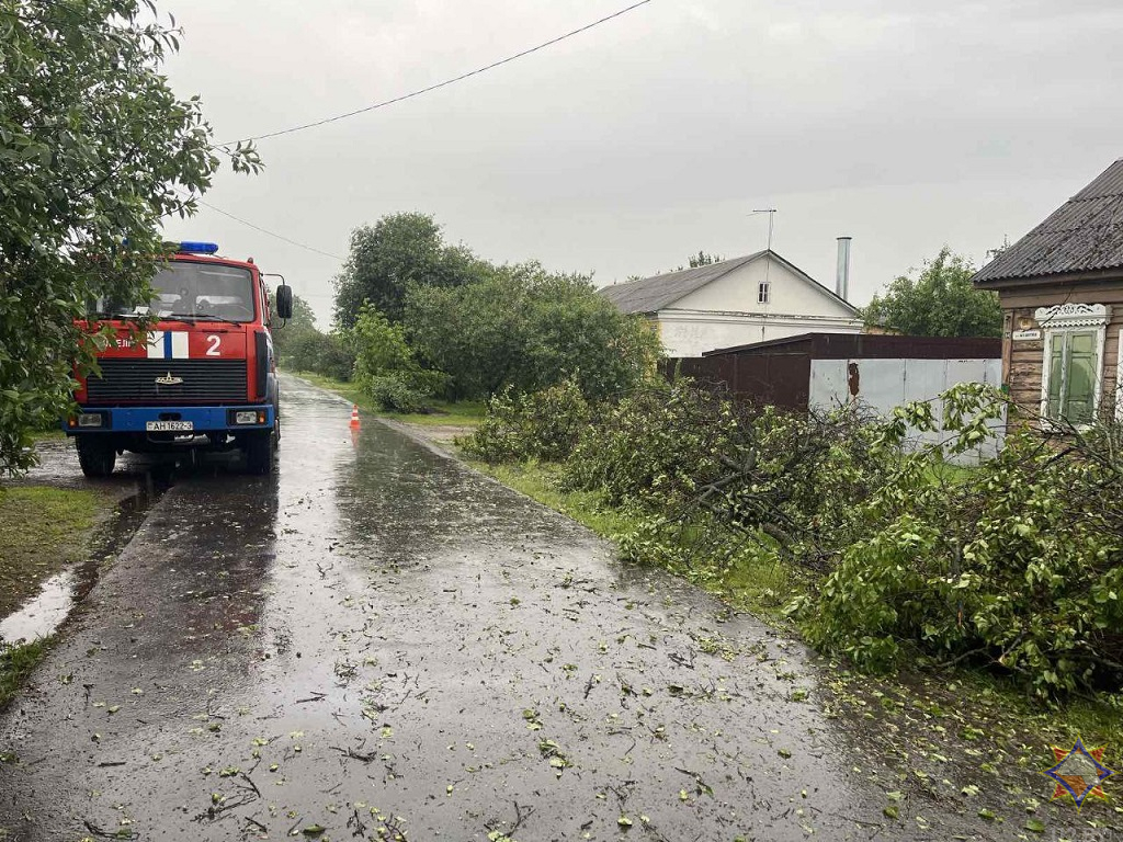 МЧС показало последствия ливней и ветра на Гомельщине