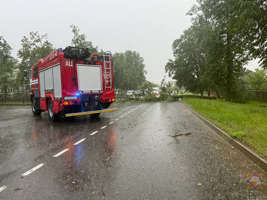 МЧС показало последствия ливней и ветра на Гомельщине
