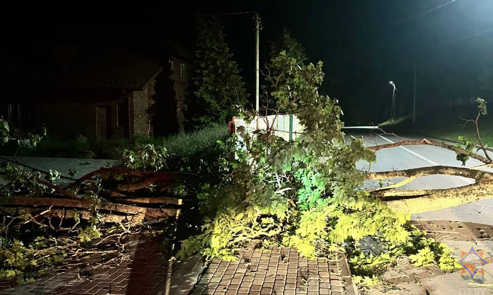 МЧС подвело итоги непогоды в Минской и Могилевской областях