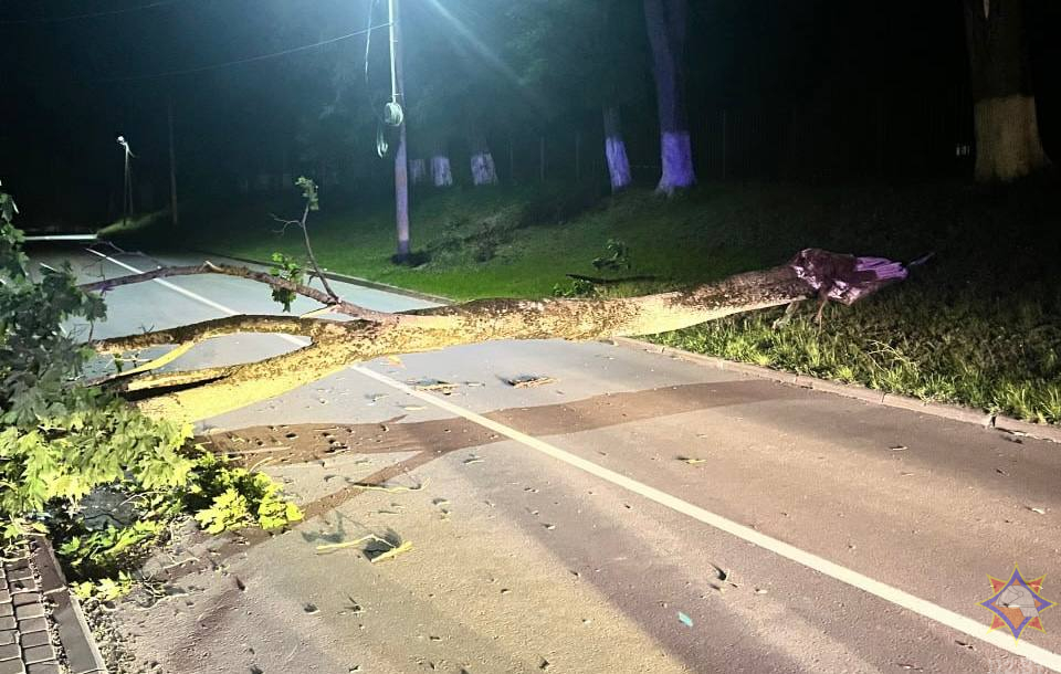 МЧС подвело итоги непогоды в Минской и Могилевской областях