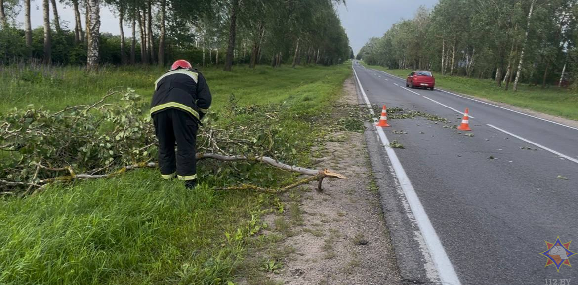 МЧС подвело итоги непогоды в Минской и Могилевской областях
