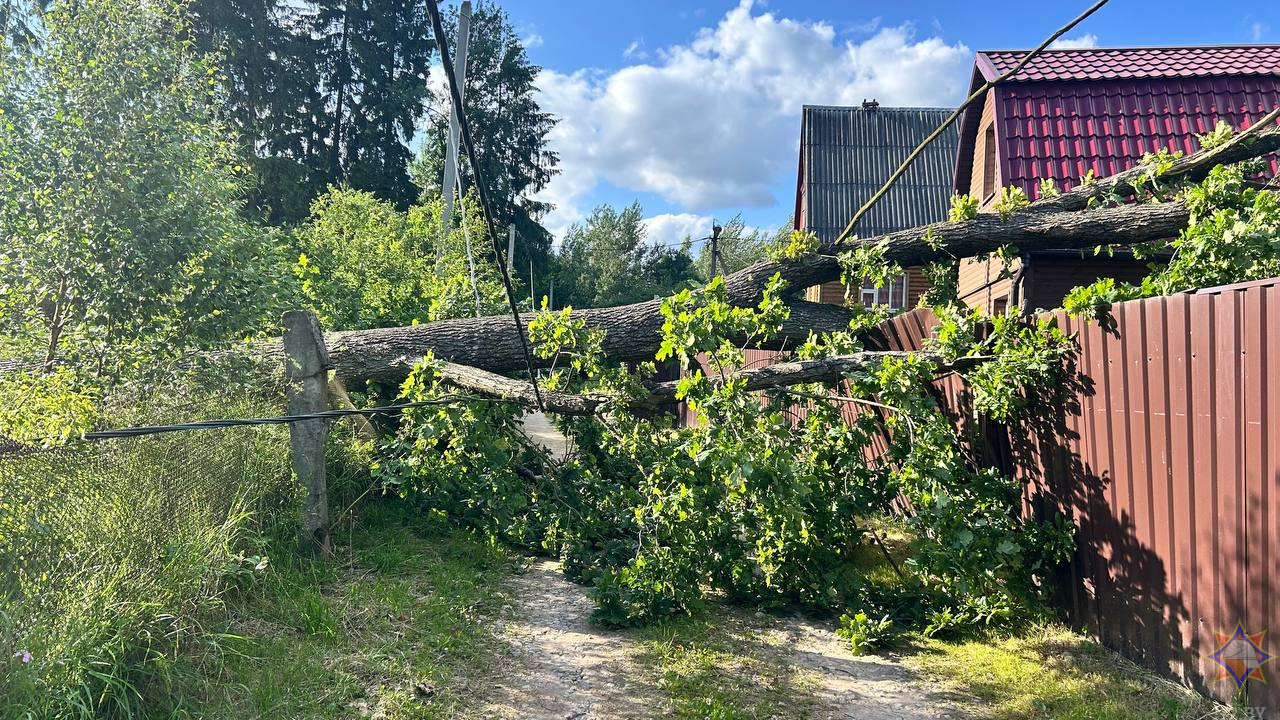 МЧС показало последствия непогоды