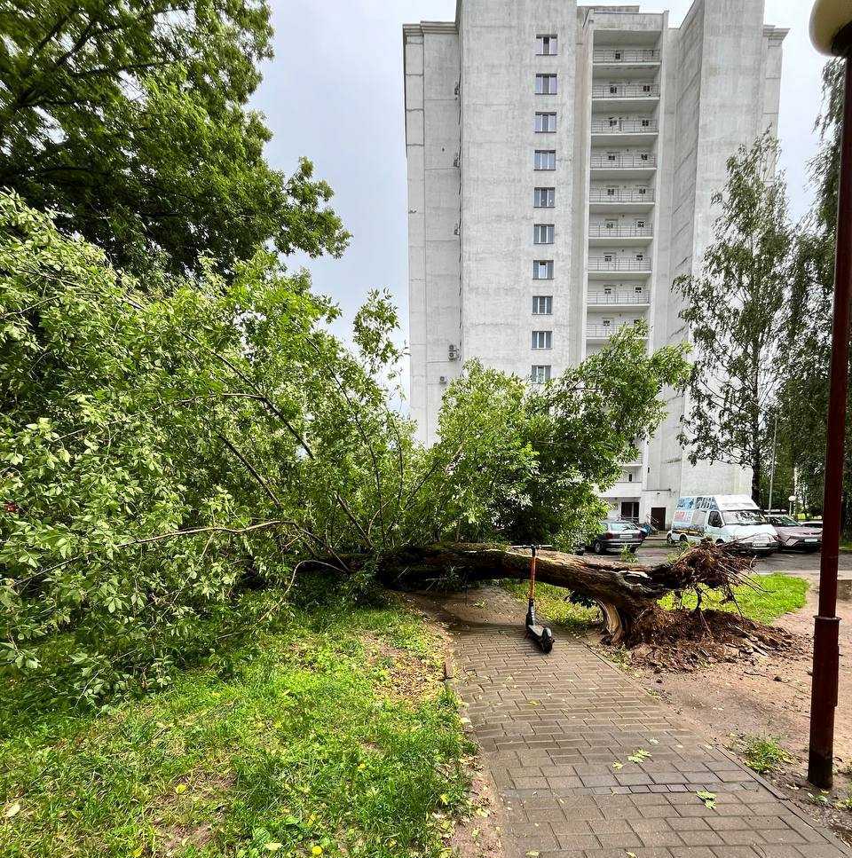 МЧС подвело итоги непогоды в Минской и Могилевской областях