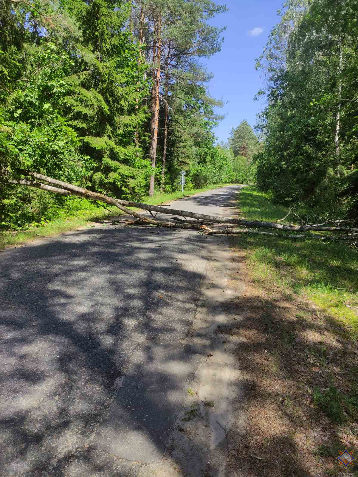 МЧС показало последствия непогоды