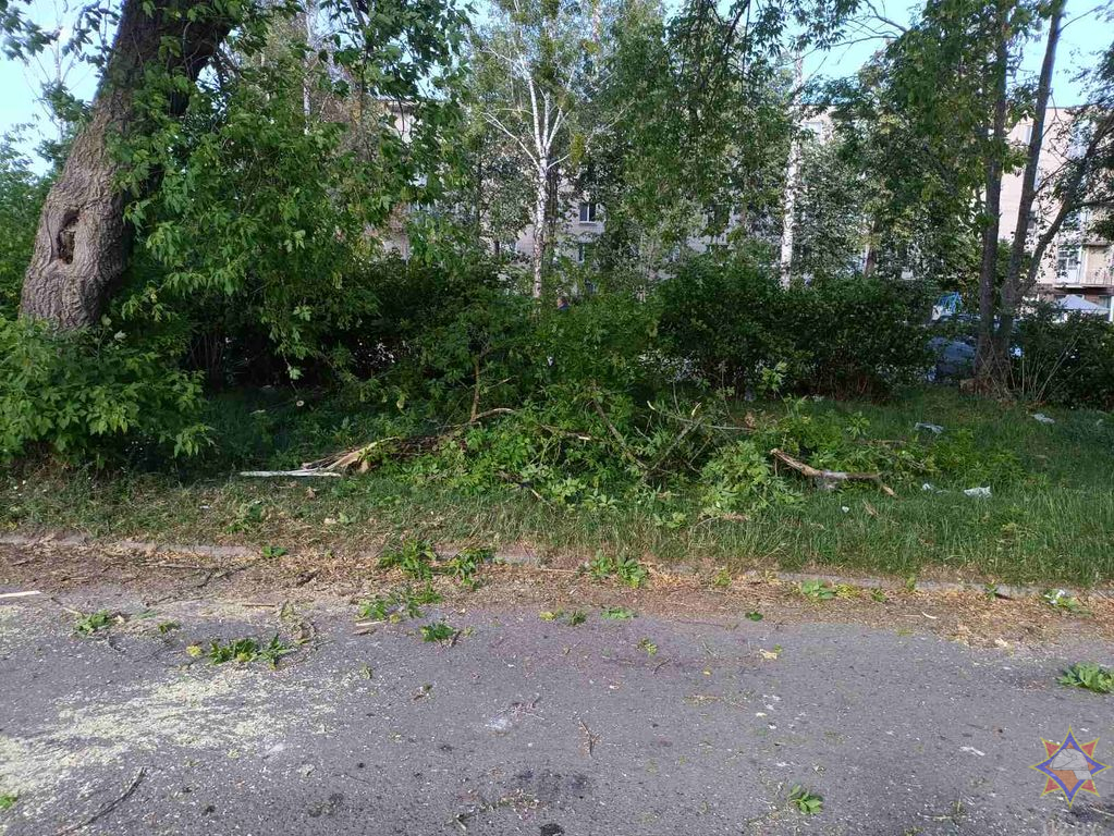 МЧС показало последствия непогоды