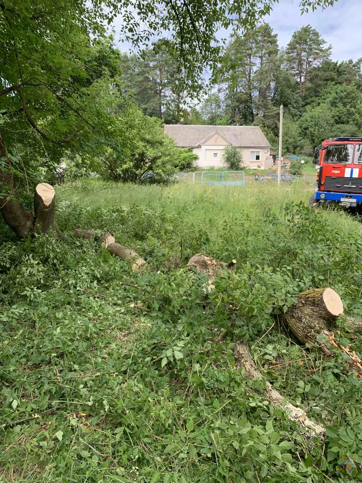 МЧС показало последствия непогоды