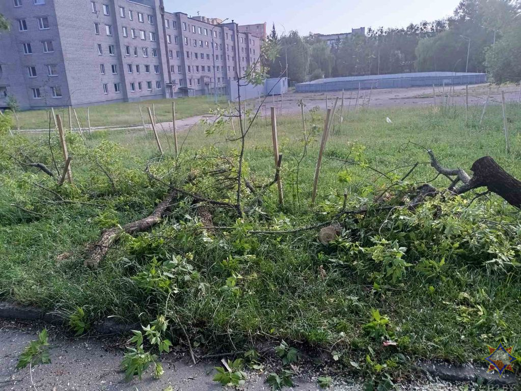 МЧС показало последствия непогоды