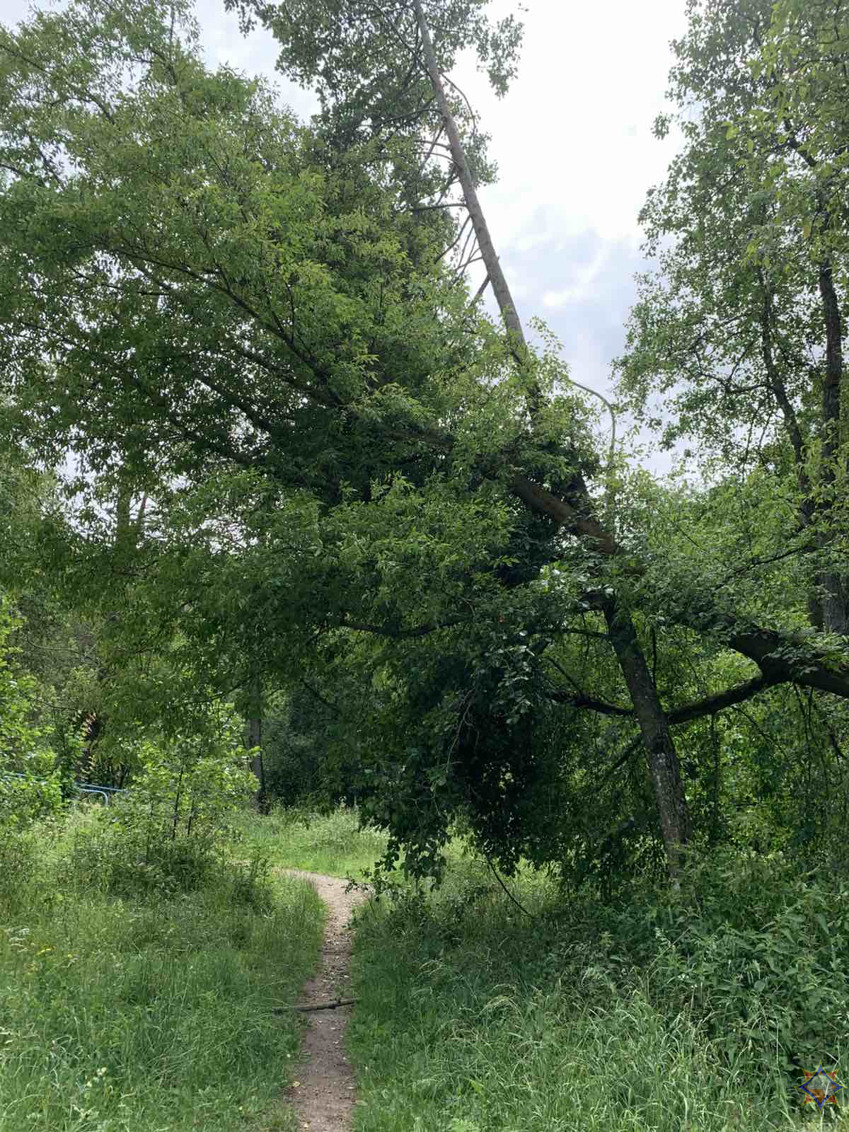 МЧС показало последствия непогоды