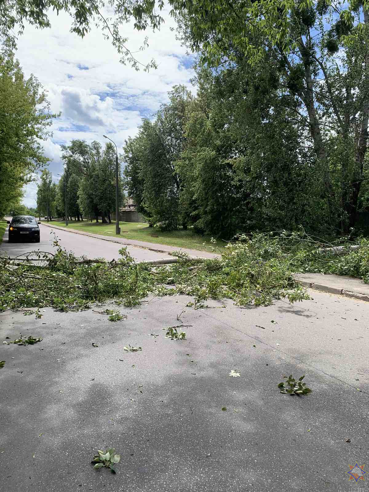МЧС показало последствия непогоды