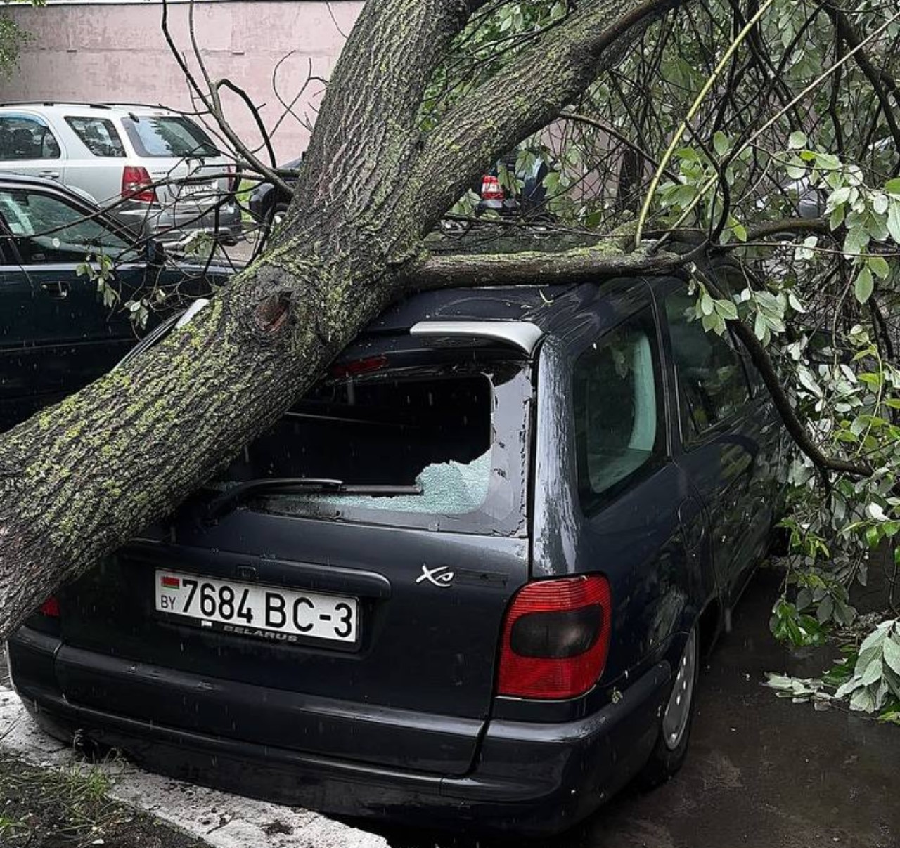 Гомель затопило после дождя