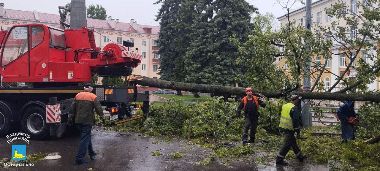 20 упавших деревьев и три поврежденных здания – по Гомельщине прошел грозовой фронт