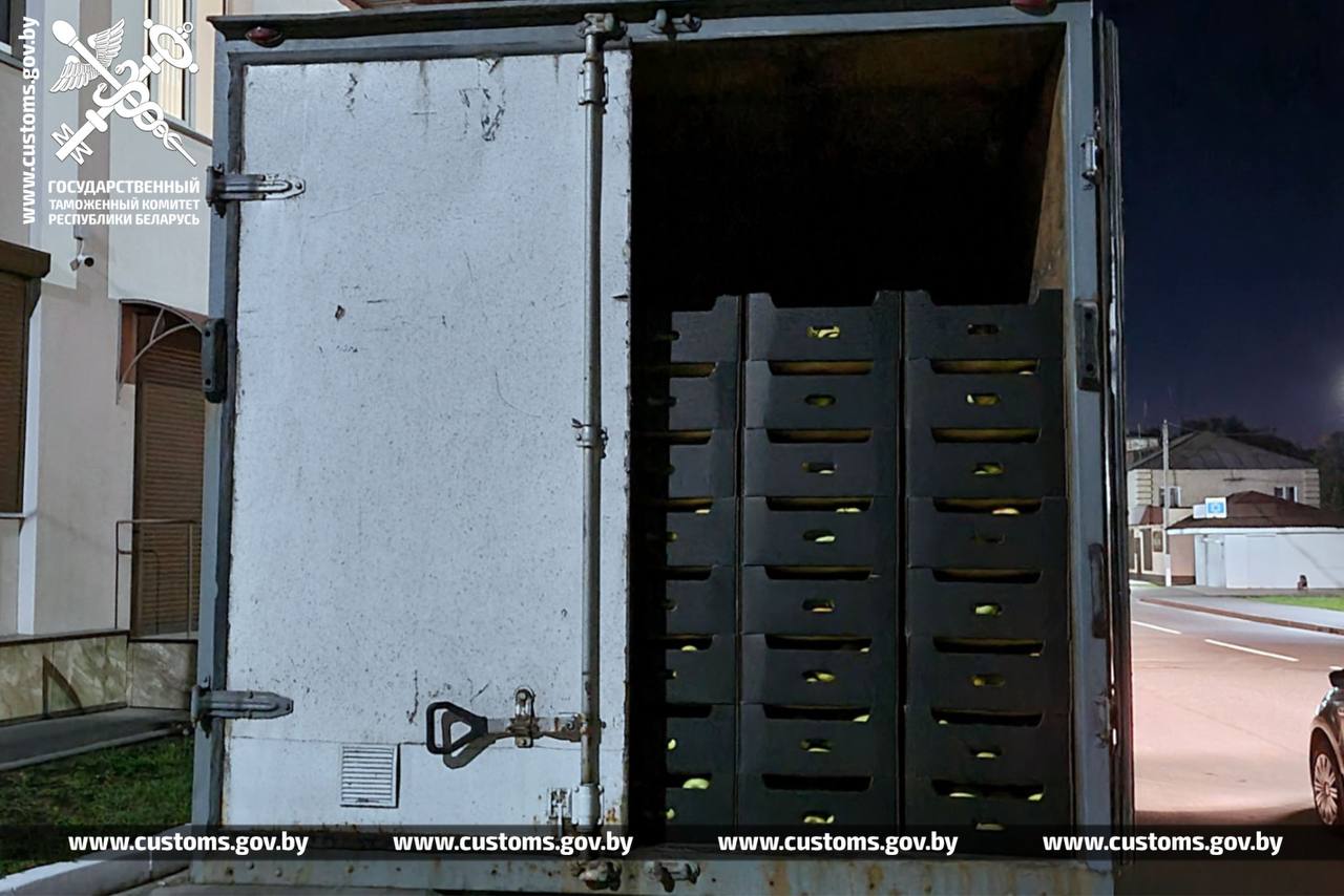 Таможенники не выпустили из Беларуси в РФ 105 тонн яблок и груш