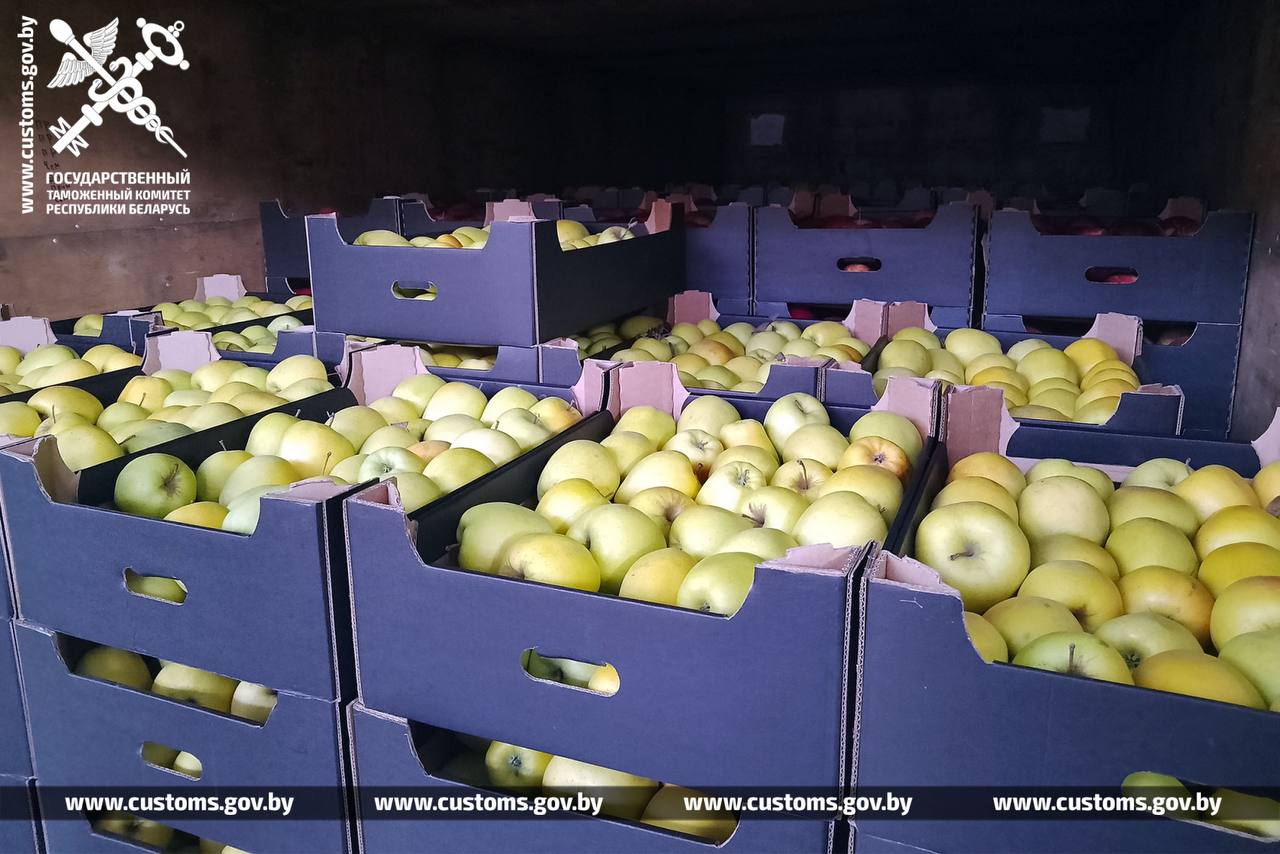 Таможенники не выпустили из Беларуси в РФ 105 тонн яблок и груш