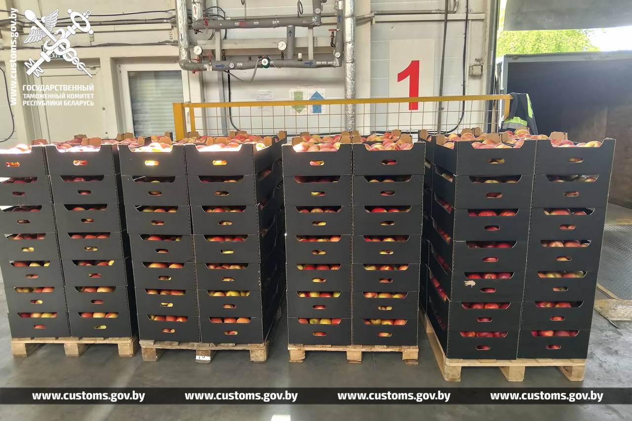 Таможенники не выпустили из Беларуси в РФ 105 тонн яблок и груш