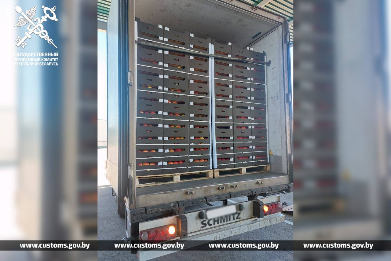 Таможенники не выпустили из Беларуси в РФ 105 тонн яблок и груш