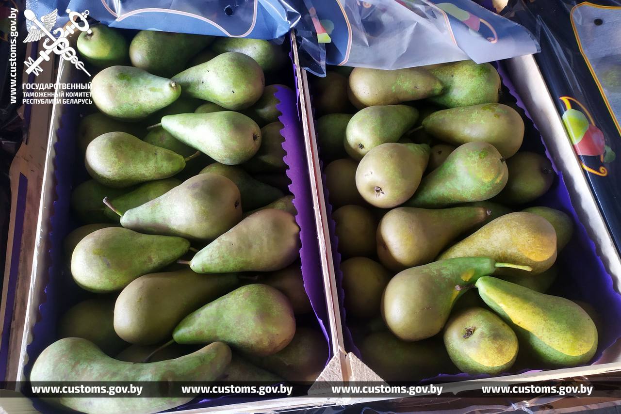 Таможенники не выпустили из Беларуси в РФ 105 тонн яблок и груш