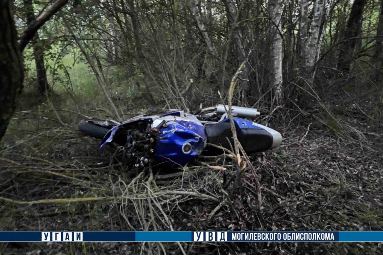 Мотоциклист погиб при столкновении с лосем в Глусском районе