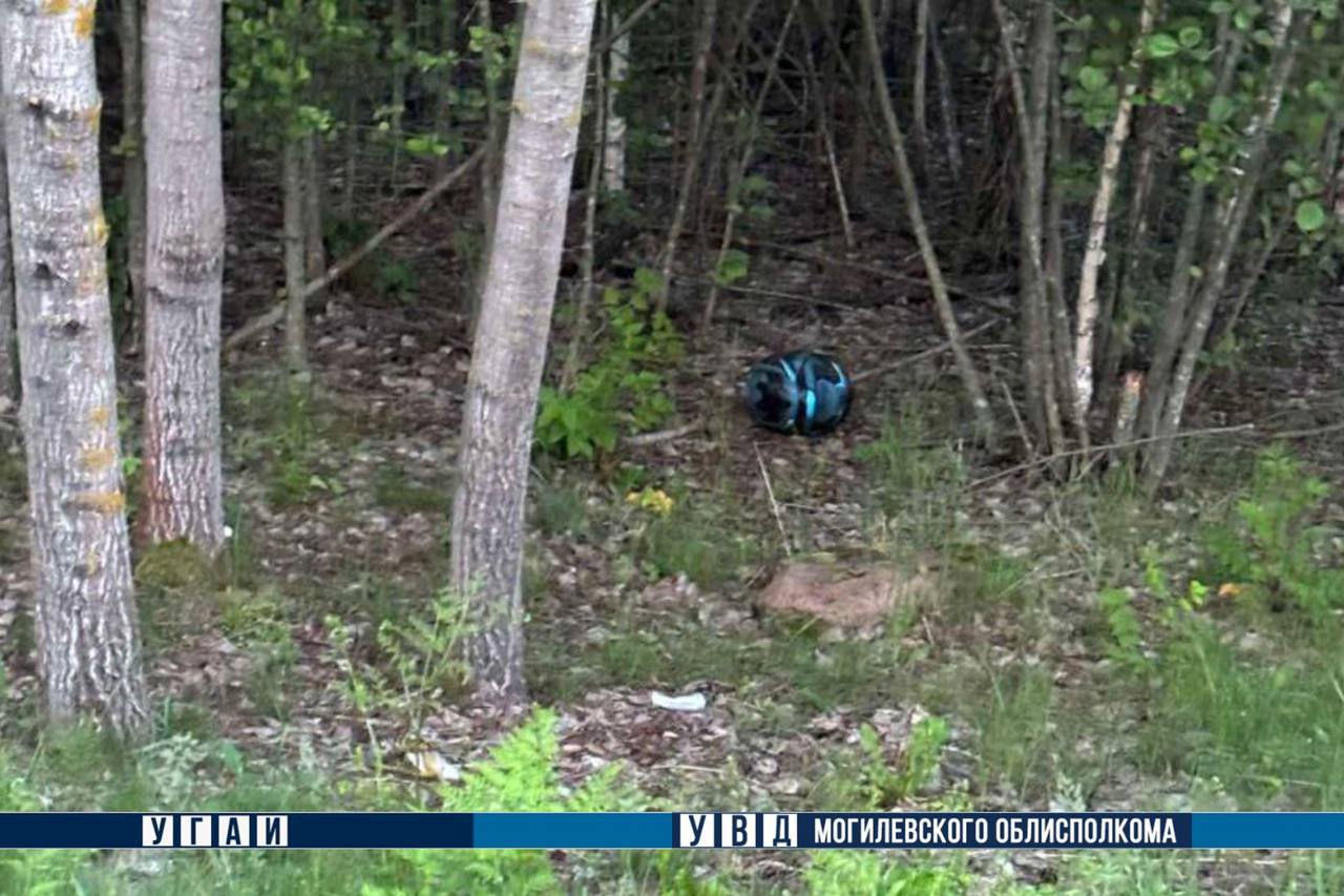 Мотоциклист погиб при столкновении с лосем в Глусском районе