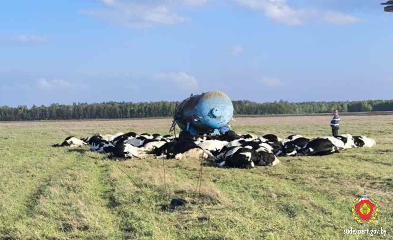 Мужчина выжил после удара молнии в Петриковском районе