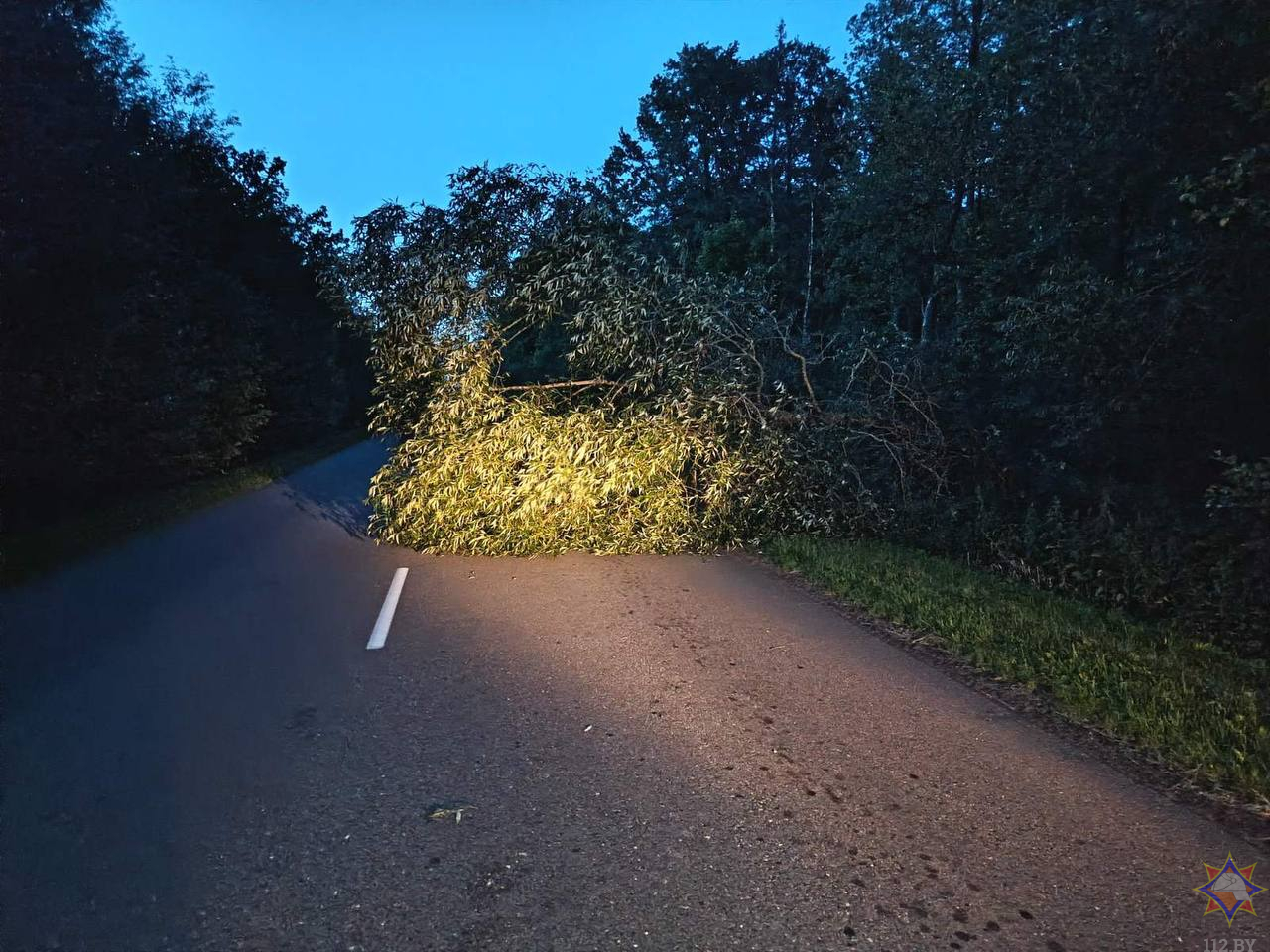 МЧС показало последствия непогоды