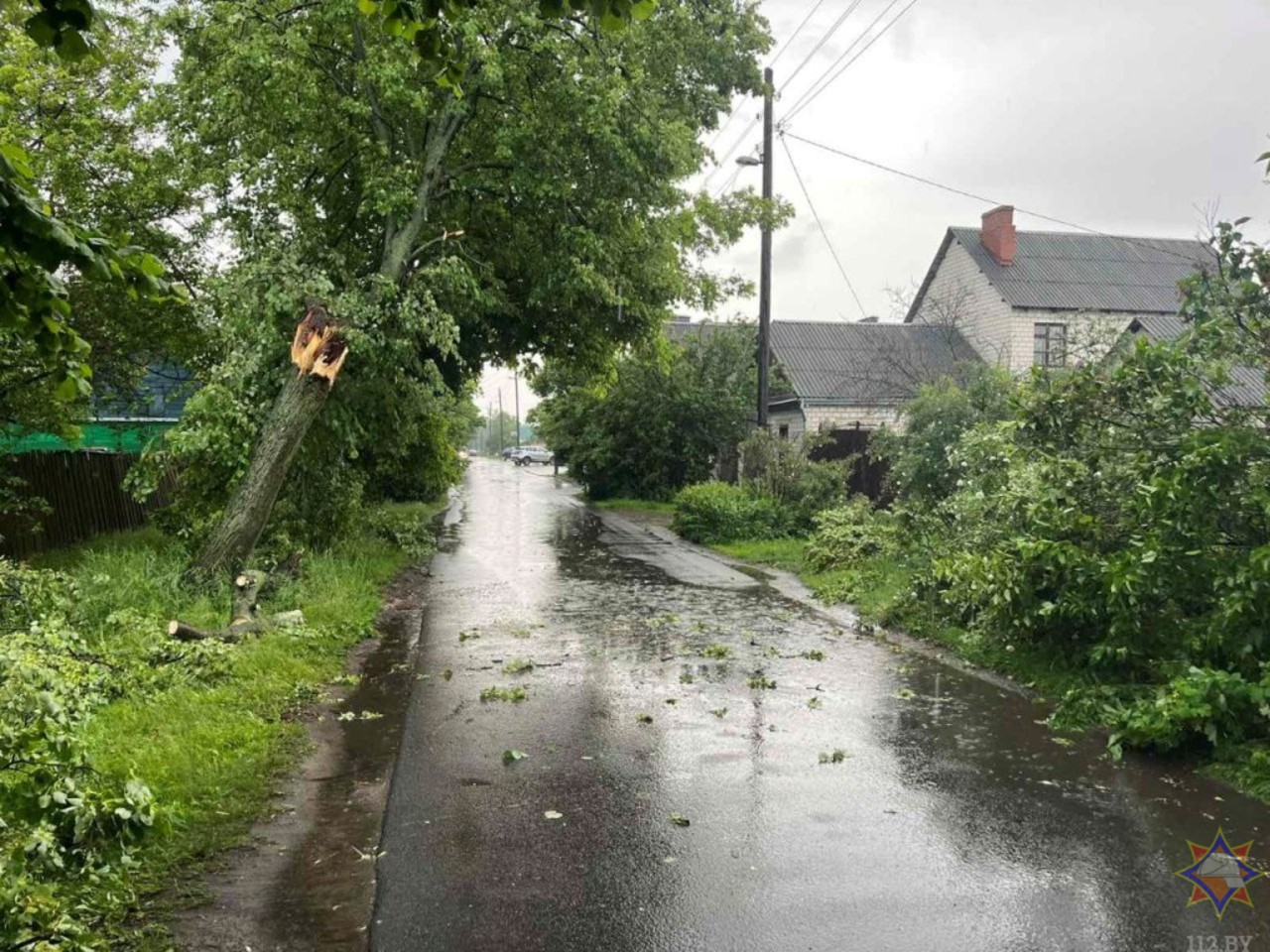 20 упавших деревьев и три поврежденных здания – по Гомельщине прошел грозовой фронт