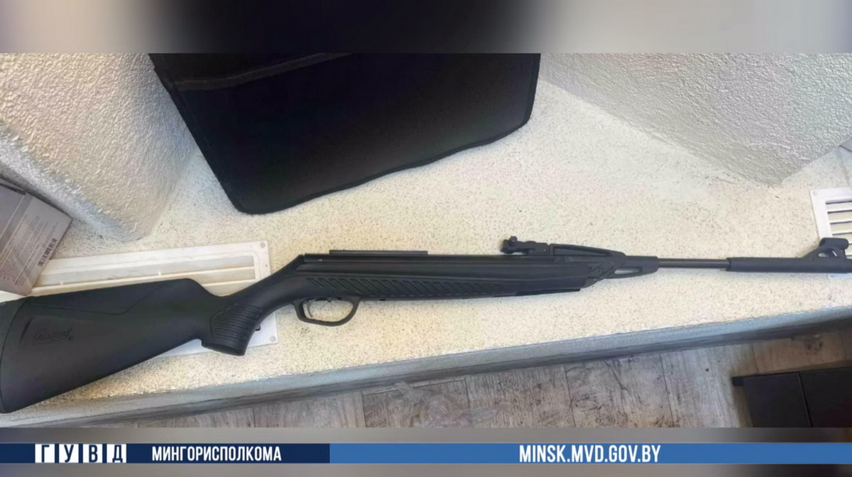 На минчанина, который выстрелил в кота из пневматики, завели уголовное дело