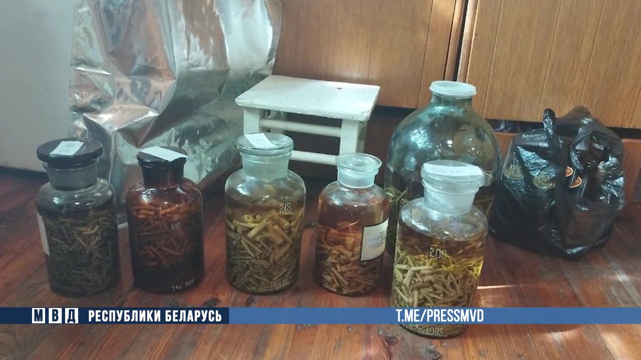 Выращивавший коноплю гомельчанин пытался покончить с собой при задержании