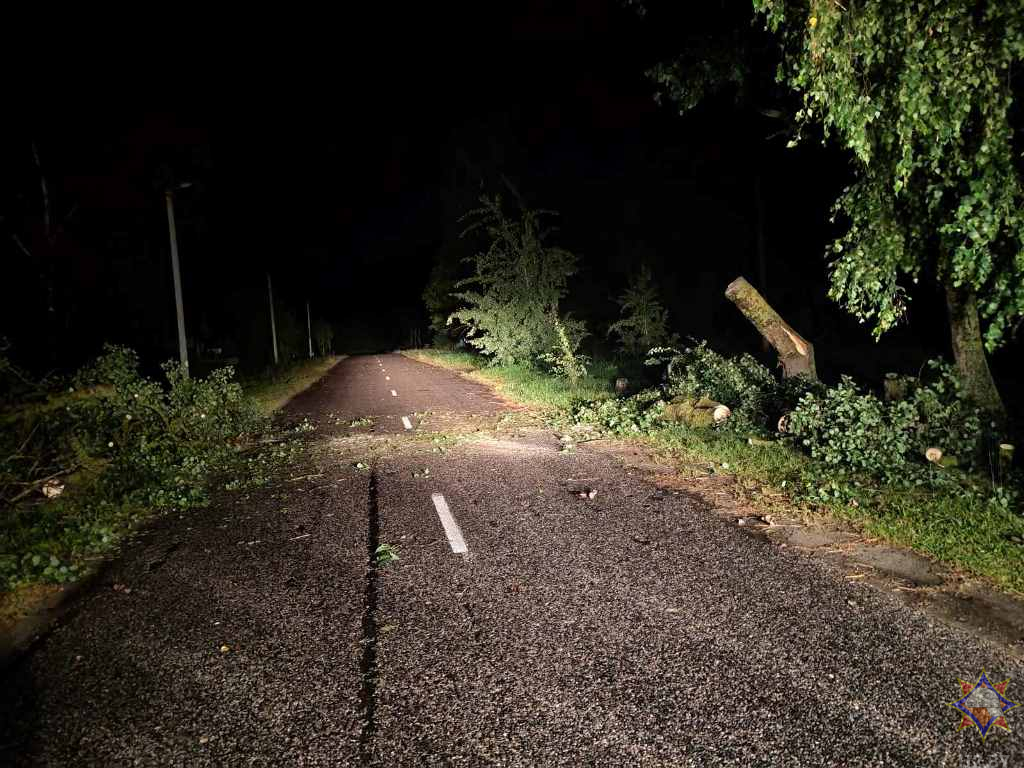МЧС показало последствия сильного ветра в Гомельской области