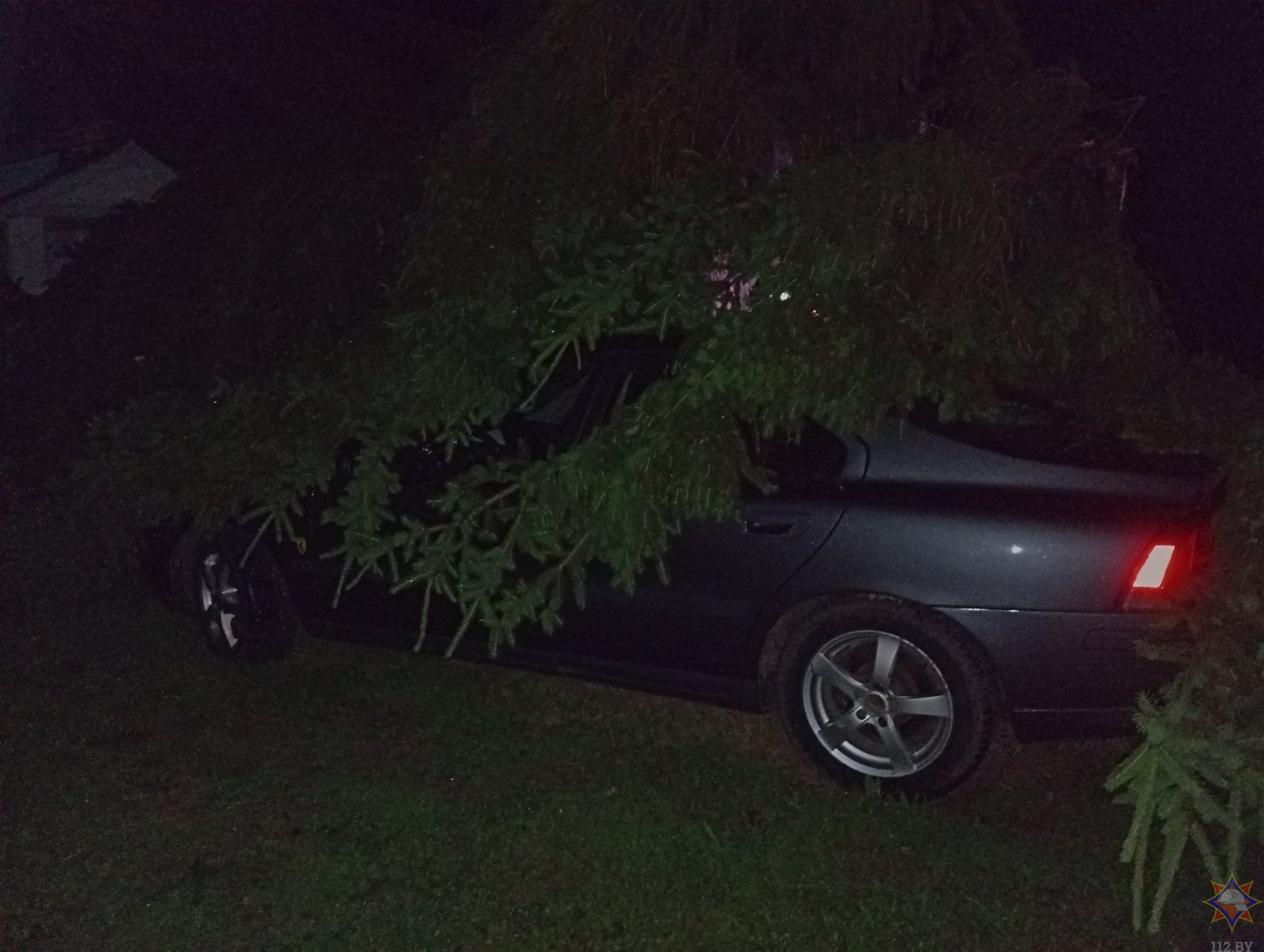 Повалено 318 деревьев, обесточено 889 населенных пунктов. МЧС подвело итоги грозовых суток