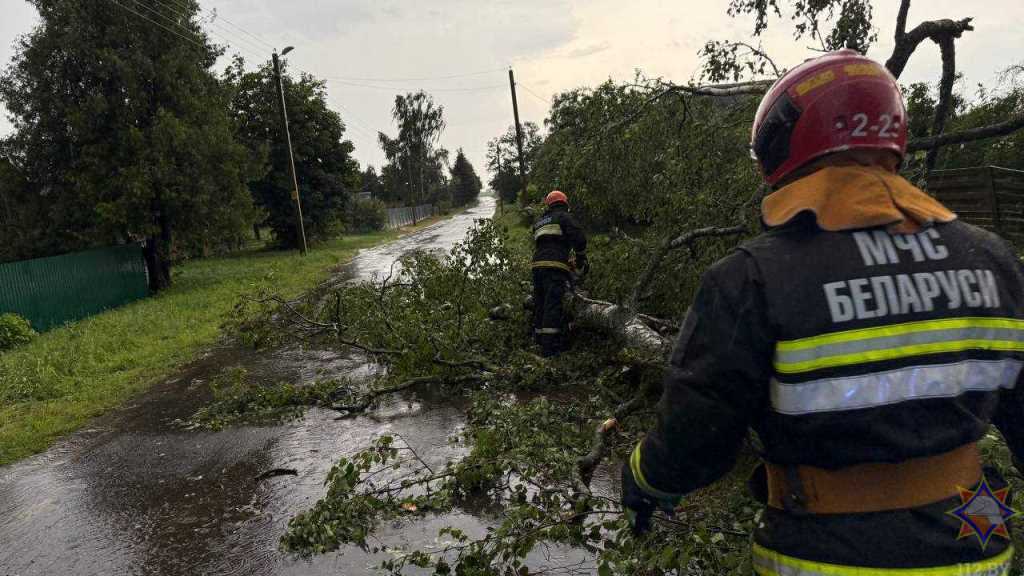 МЧС показало последствия сильного ветра в Гомельской области