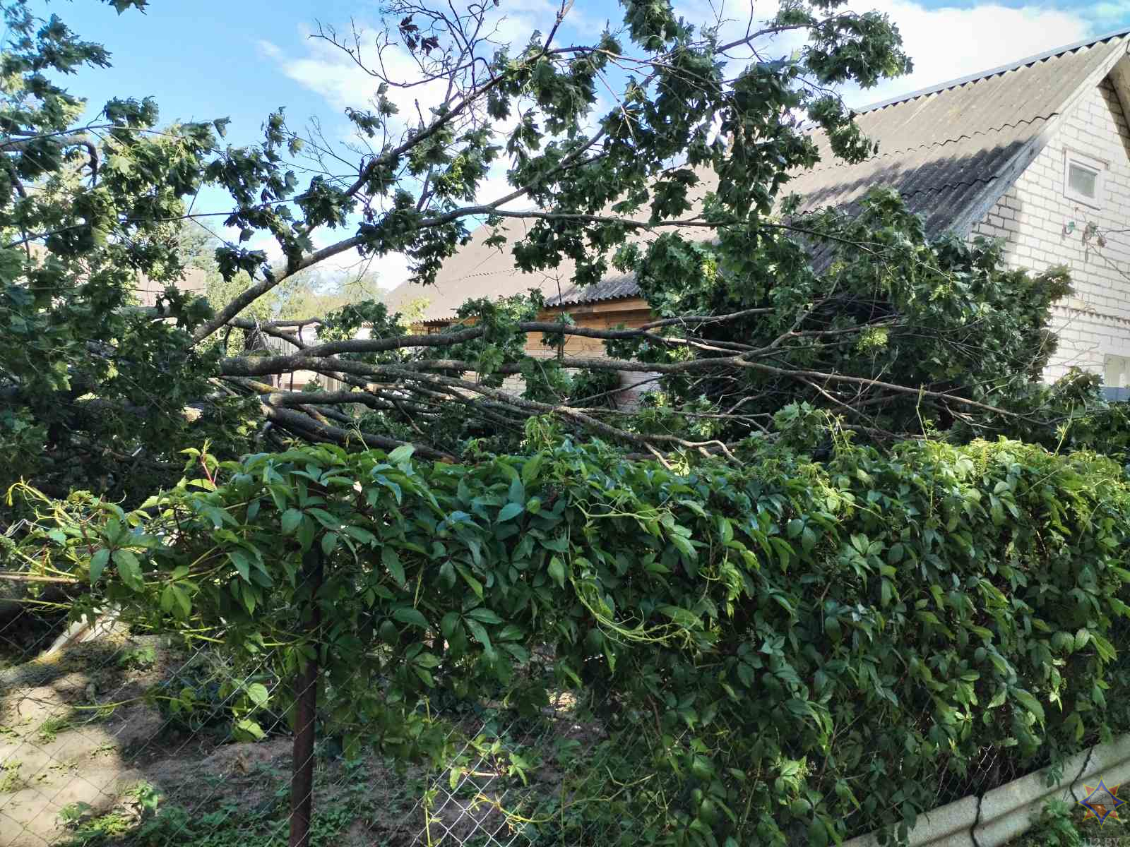 МЧС рассказало о последствиях сильного ветра в понедельник