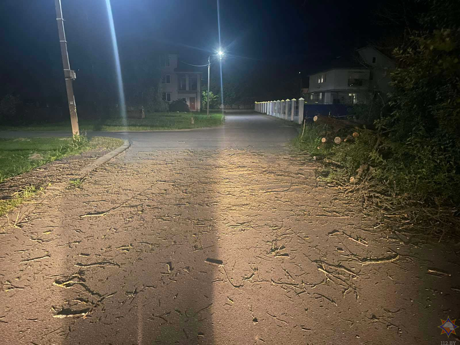 Ветер повалил деревья в Могилевской области