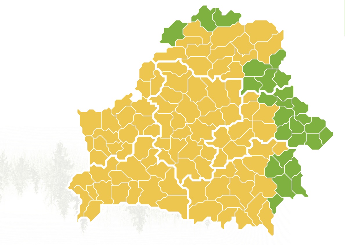 Гослесохрана перешла на усиленные дежурства из-за жары