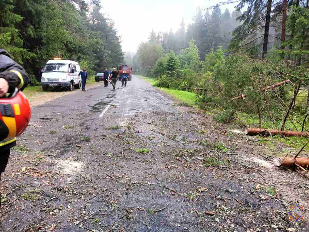 Повалено 318 деревьев, обесточено 889 населенных пунктов. МЧС подвело итоги грозовых суток