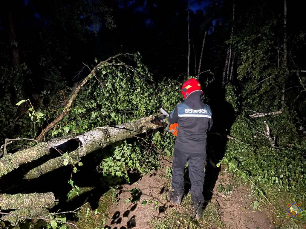 МЧС показало последствия сильного ветра в Гомельской области