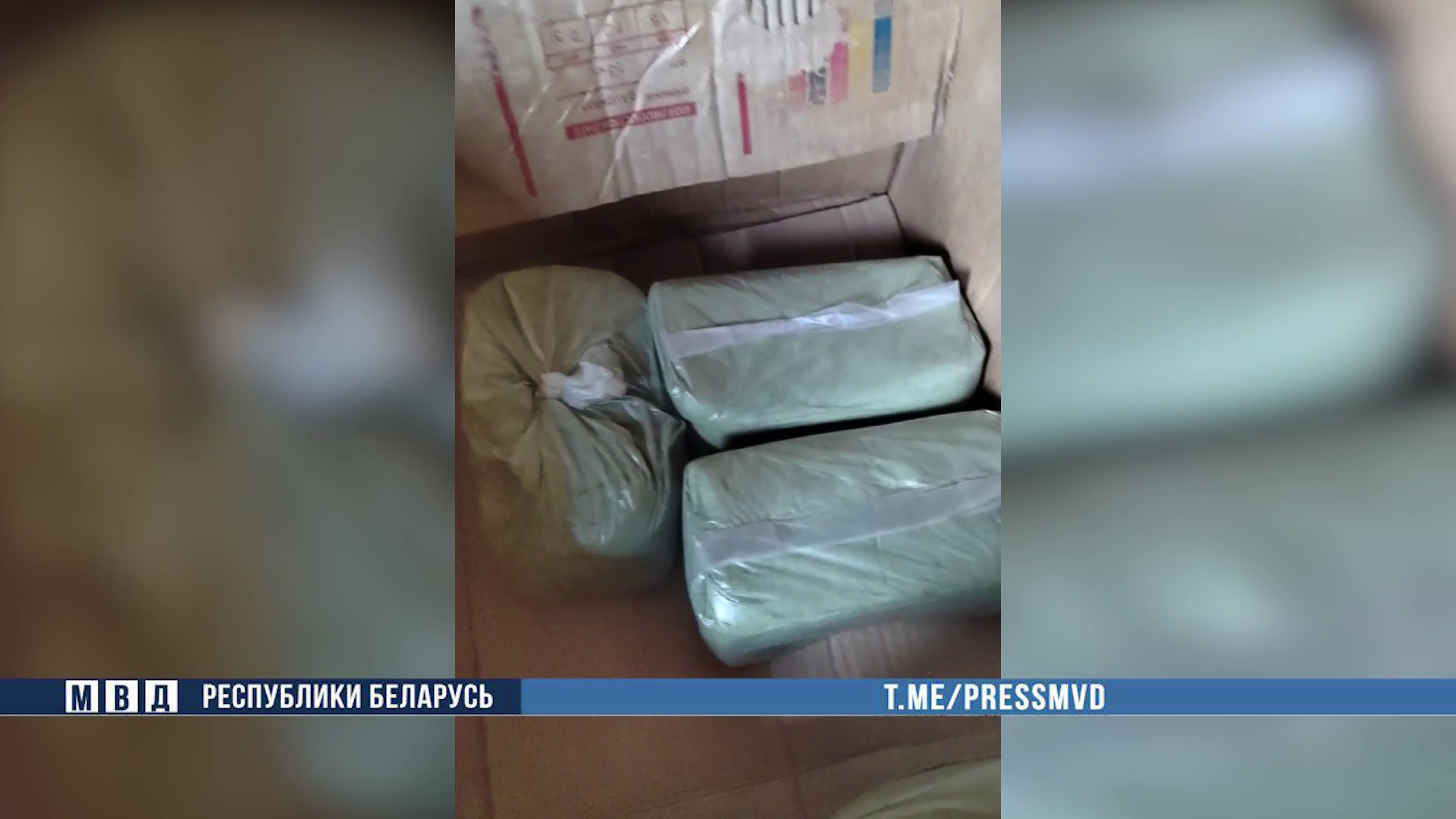 Милиция изъяла у минчанина 660 кг насвая