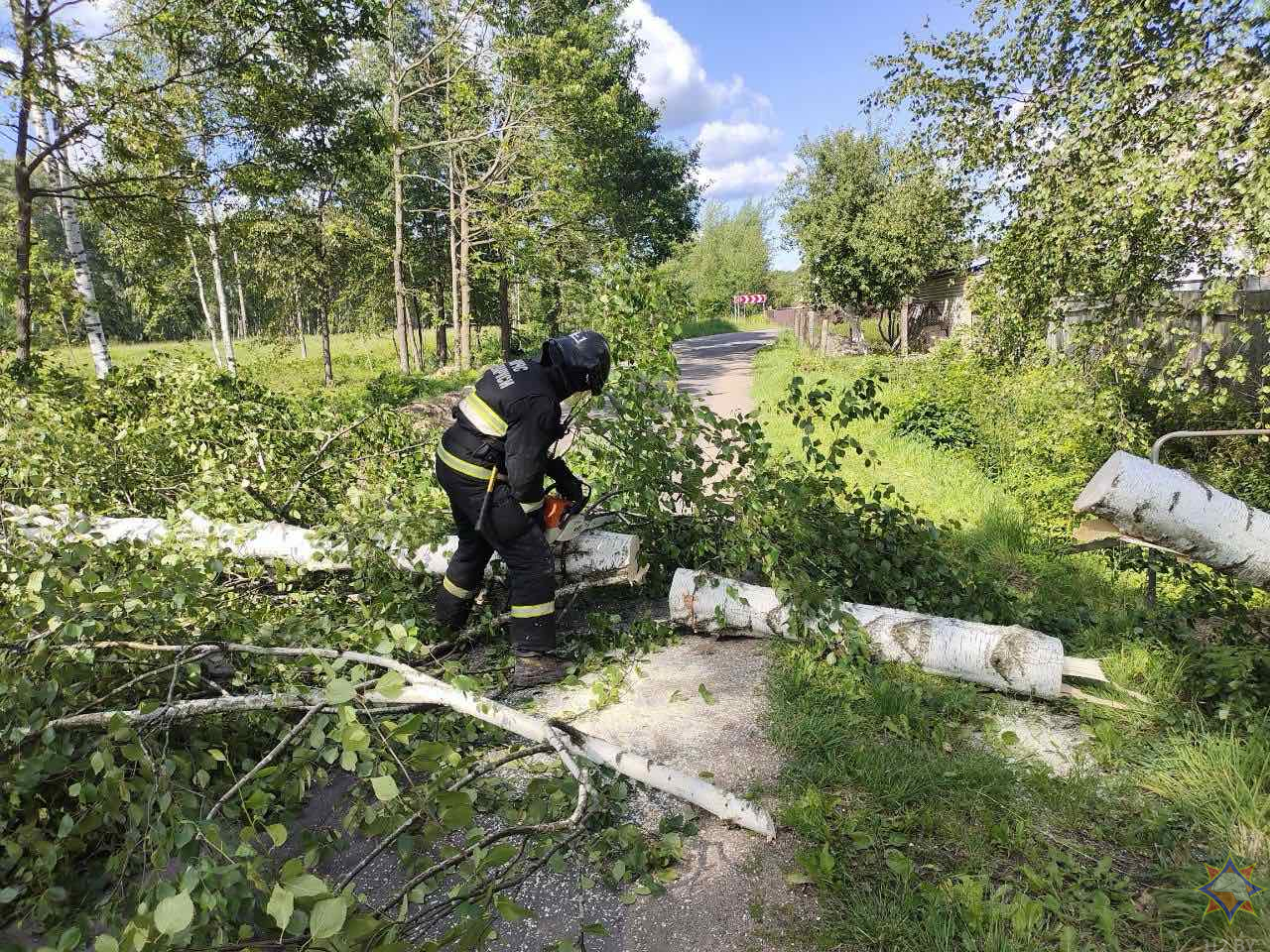 МЧС рассказало о последствиях сильного ветра в понедельник