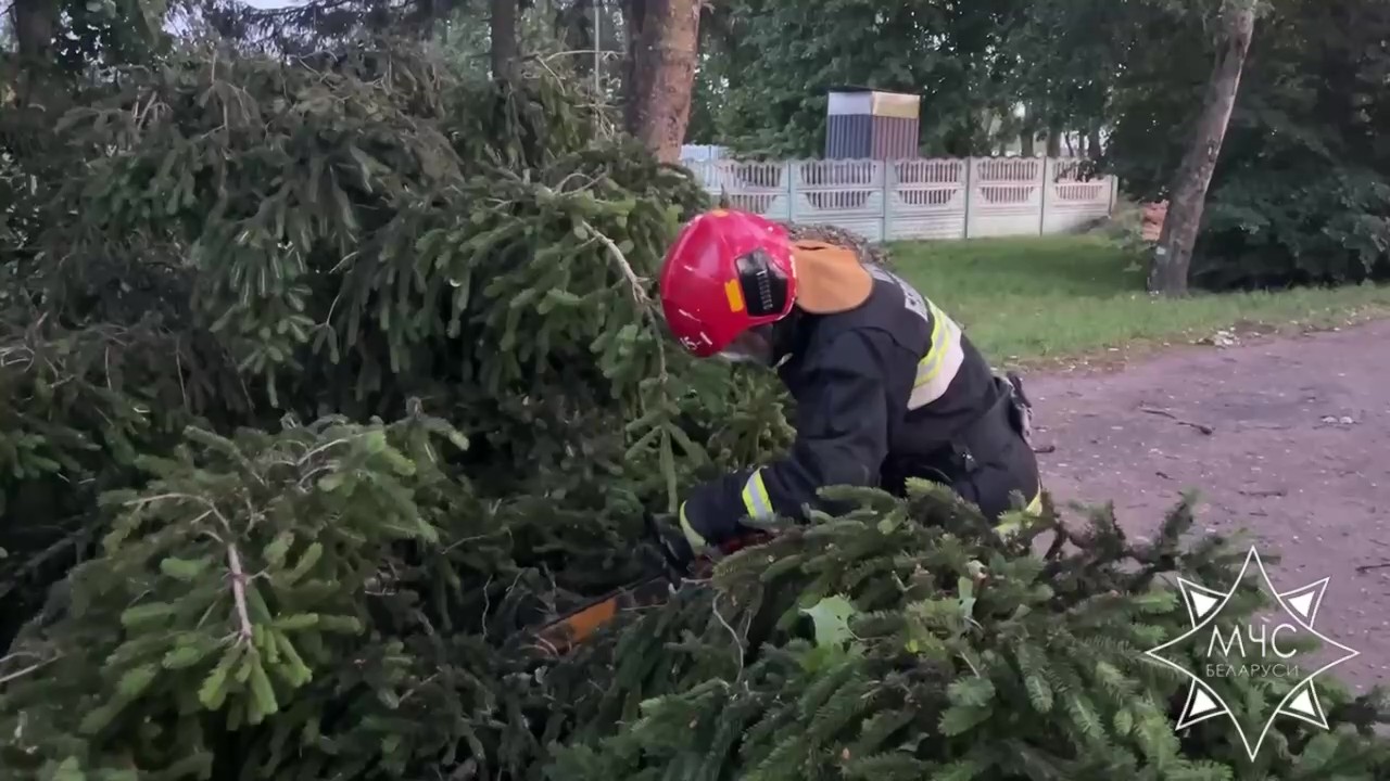 МЧС: от грозового фронта пострадали 3 населенных пункта