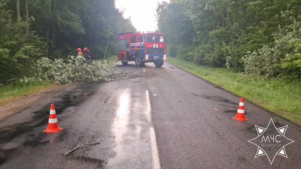 МЧС: от грозового фронта пострадали 3 населенных пункта