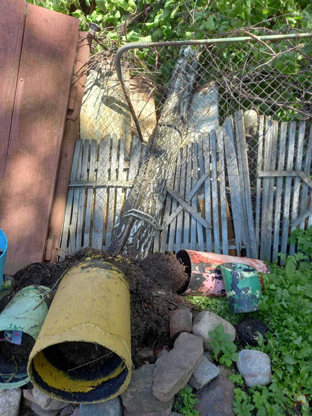 МЧС рассказало о последствиях сильного ветра в понедельник